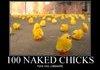 A hundred naked chicks