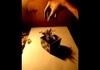 Amazing 3D art