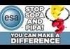 A way to fight SOPA and PIPA