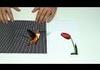 Amazing Animated Optical Illusions no1